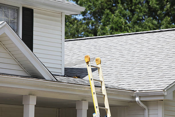 Best Insulated Siding Installation  in Mentone, CA
